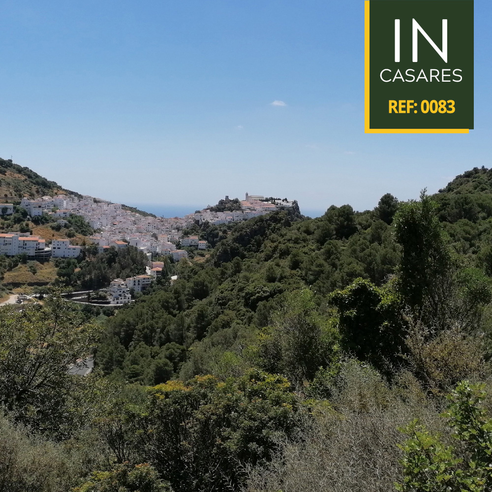 post-fotos-inestepona-83-1