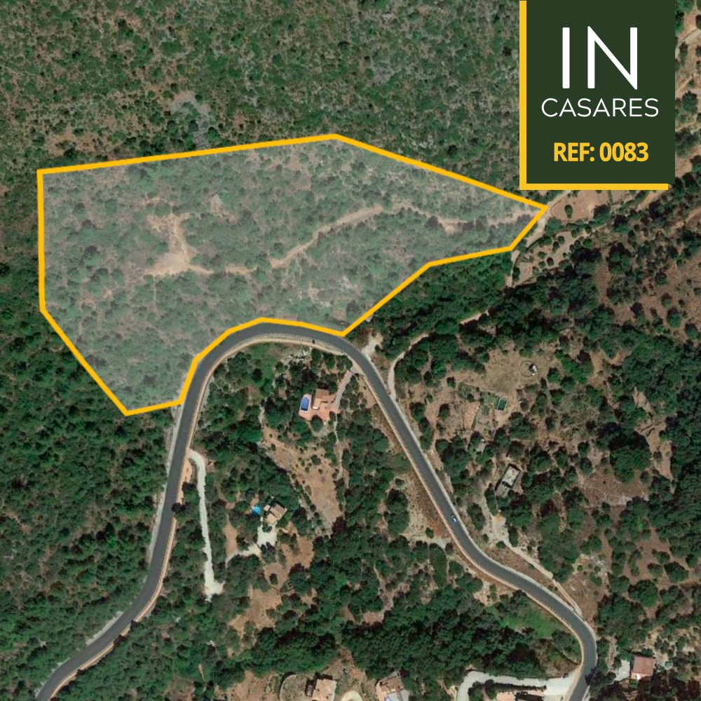 post-fotos-inestepona-83-2