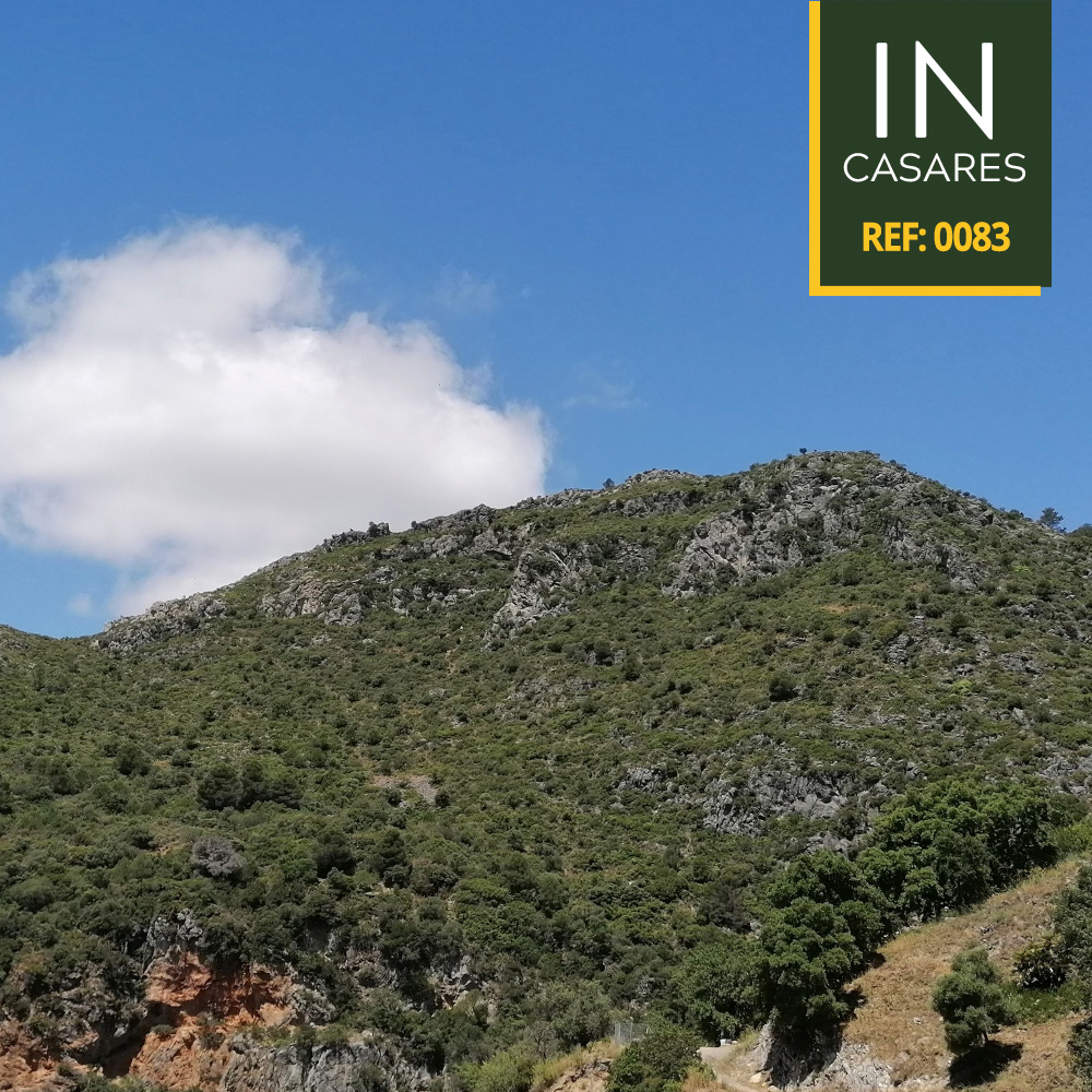 post-fotos-inestepona-83-3