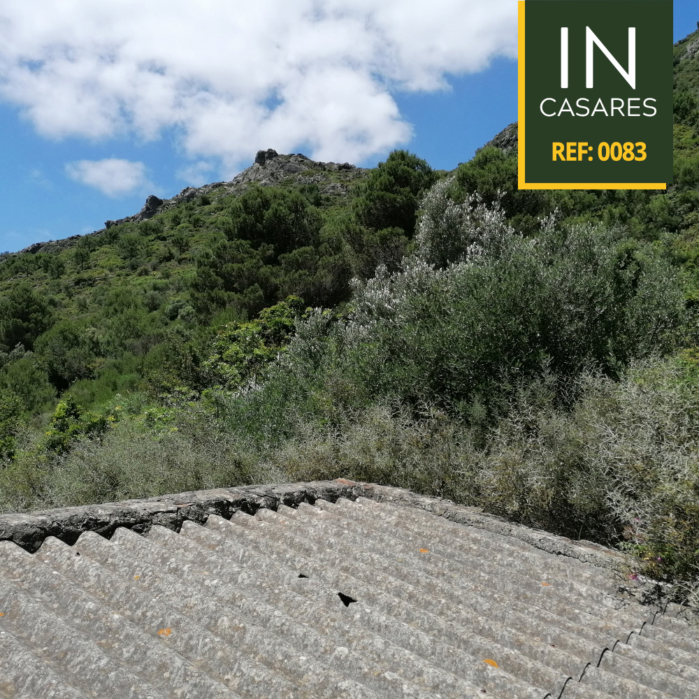 post-fotos-inestepona-83-6