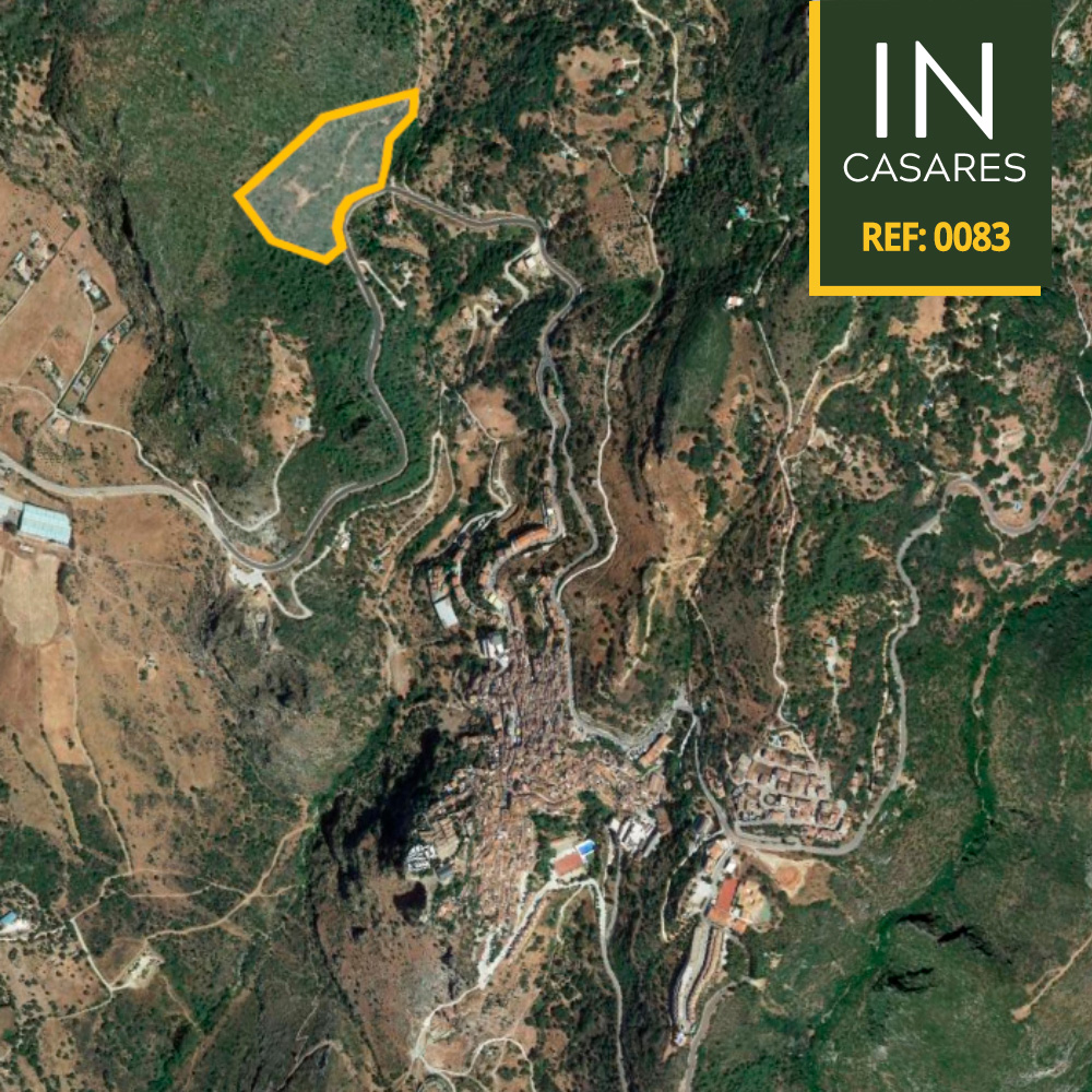 post-fotos-inestepona-83